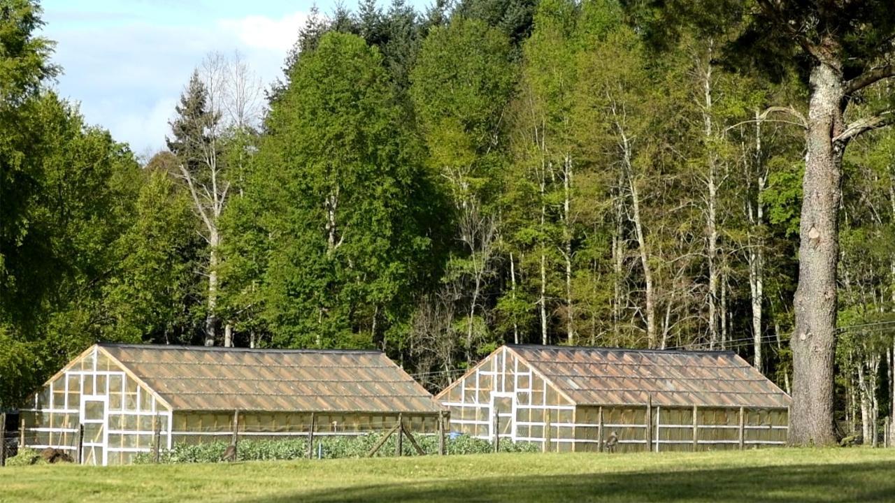 Das Dorf Hotel Pucón Exterior foto